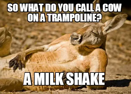 What Do You Call a Cow on a Trampoline