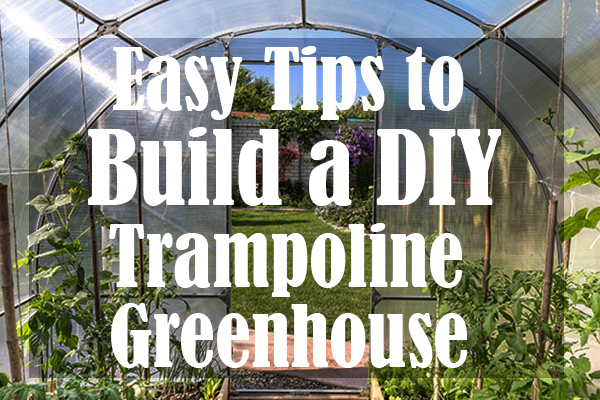 How to Build a Greenhouse from a Trampoline