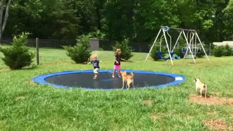 How to Build a Trampoline in the Ground