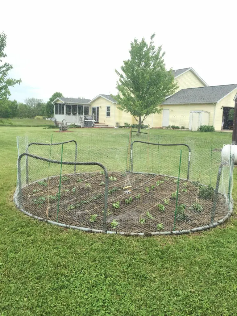 What to Do With Old Trampoline